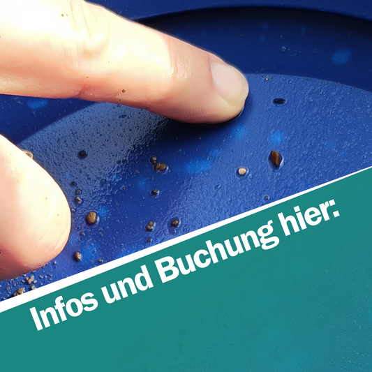03. 20.06.2026 / Goldwaschkurs an der Orke / Ederbringhausen